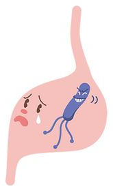 ピロリ菌に困っている胃のイラスト
